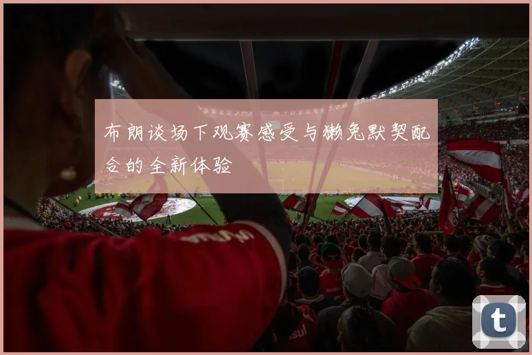 布朗谈场下观赛感受与獭兔默契配合的全新体验